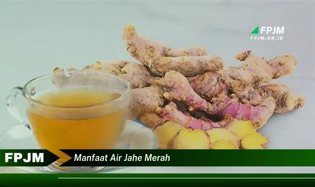 manfaat air jahe merah manfaat air jahe merah