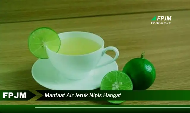 manfaat air jeruk nipis hangat manfaat air jeruk nipis hangat