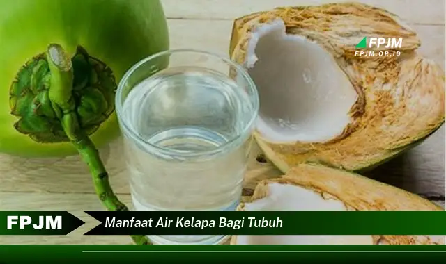 manfaat air kelapa bagi tubuh