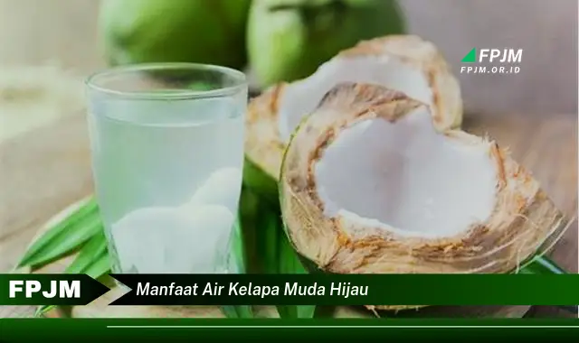 manfaat air kelapa muda hijau