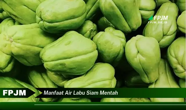 manfaat air labu siam mentah manfaat air labu siam mentah