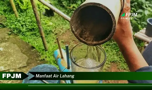 manfaat air lahang