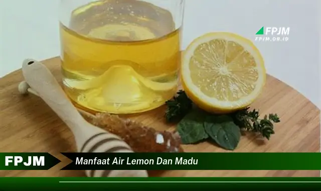 manfaat air lemon dan madu manfaat air lemon dan madu