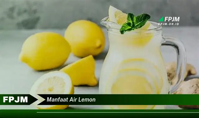 manfaat air lemon manfaat air lemon