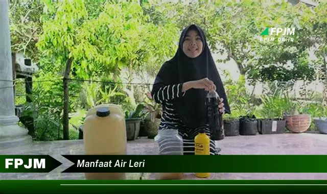 manfaat air leri