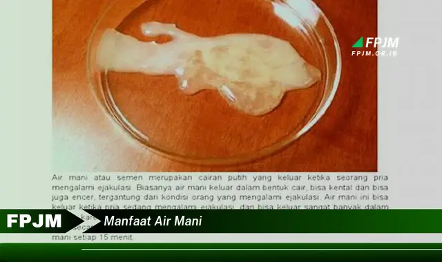 manfaat air mani manfaat air mani