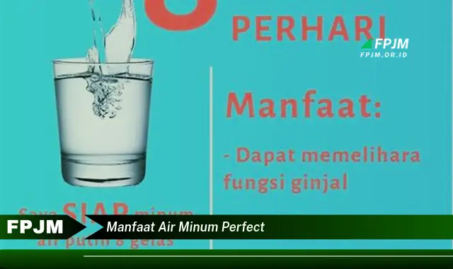 manfaat air minum perfect