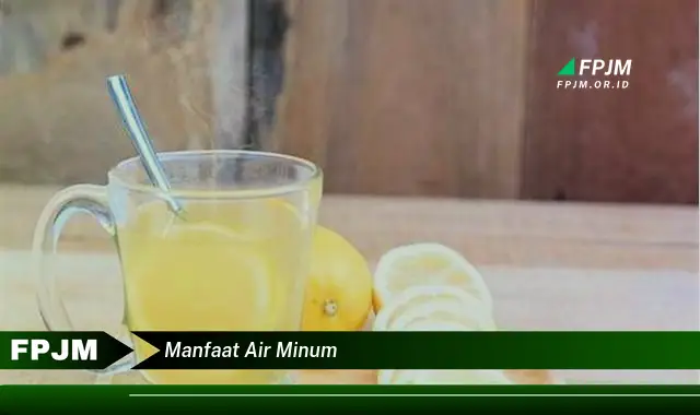 manfaat air minum