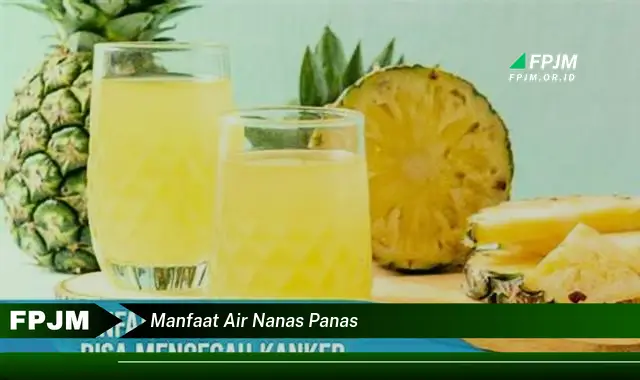 manfaat air nanas panas manfaat air nanas panas