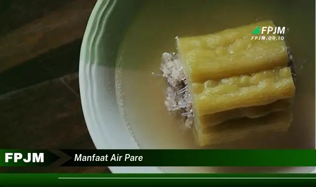 manfaat air pare