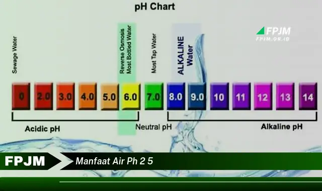 manfaat air ph 2 5 manfaat air ph 2 5