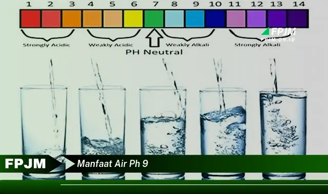 manfaat air ph 9