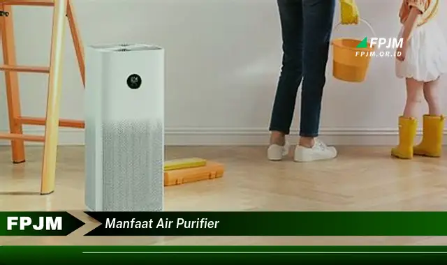manfaat air purifier