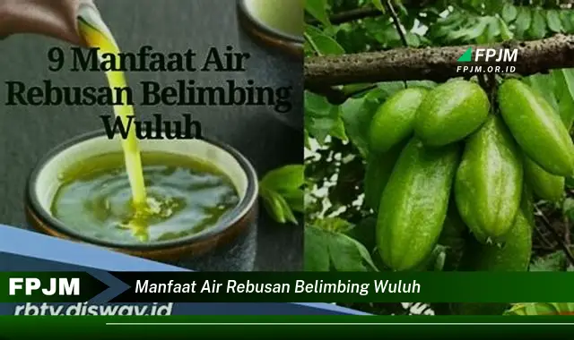 manfaat air rebusan belimbing wuluh manfaat air rebusan belimbing wuluh