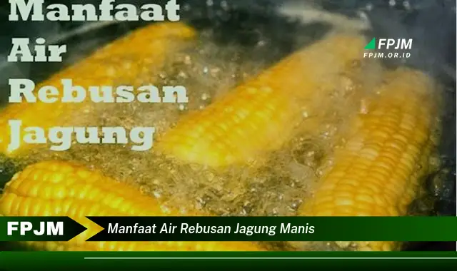 manfaat air rebusan jagung manis