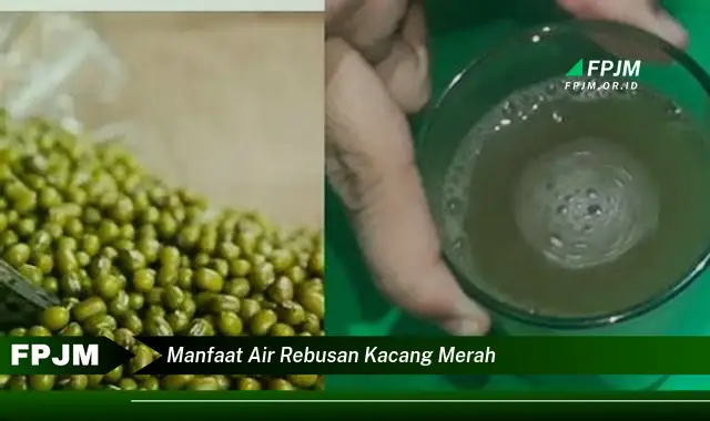 manfaat air rebusan kacang merah manfaat air rebusan kacang merah