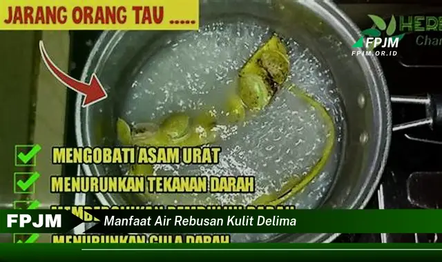 manfaat air rebusan kulit delima