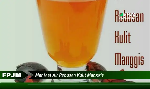 manfaat air rebusan kulit manggis