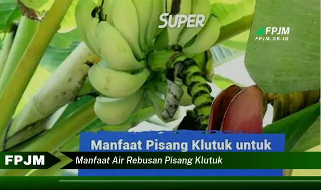 manfaat air rebusan pisang klutuk