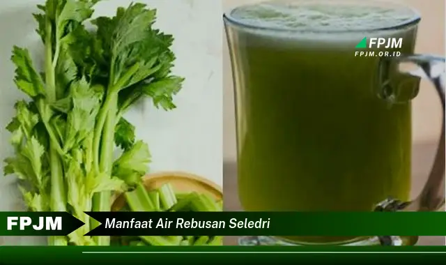 manfaat air rebusan seledri