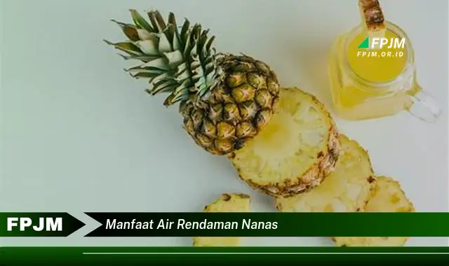 manfaat air rendaman nanas manfaat air rendaman nanas