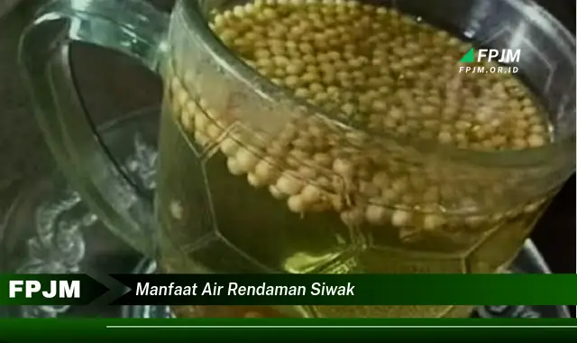 manfaat air rendaman siwak manfaat air rendaman siwak