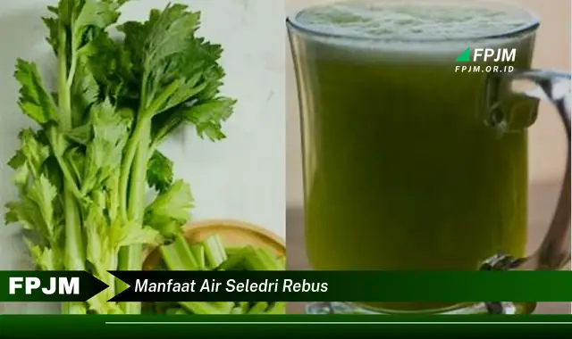 manfaat air seledri rebus