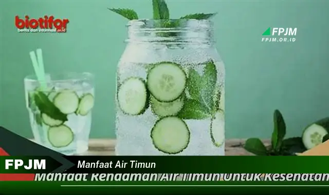 manfaat air timun manfaat air timun