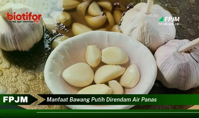manfaat bawang putih direndam air panas manfaat bawang putih direndam air panas