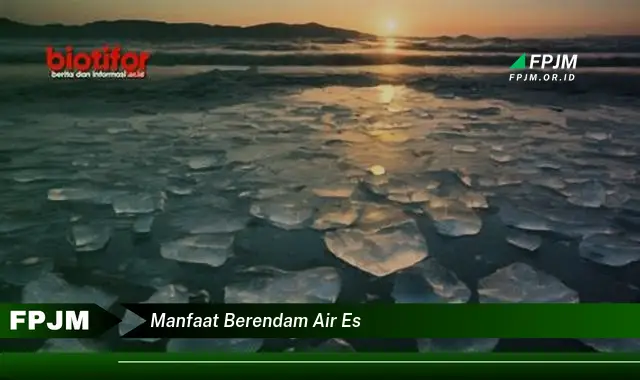 manfaat berendam air es
