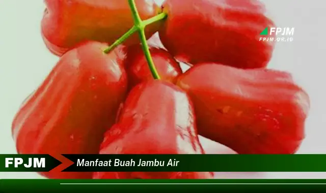 manfaat buah jambu air