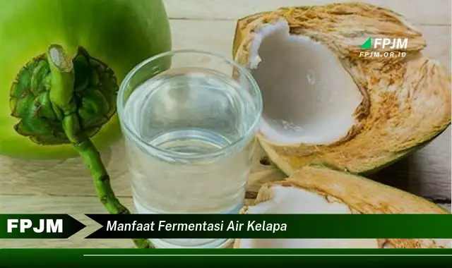 manfaat fermentasi air kelapa
