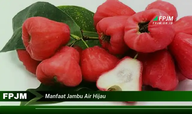 manfaat jambu air hijau manfaat jambu air hijau