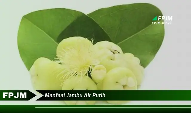 manfaat jambu air putih