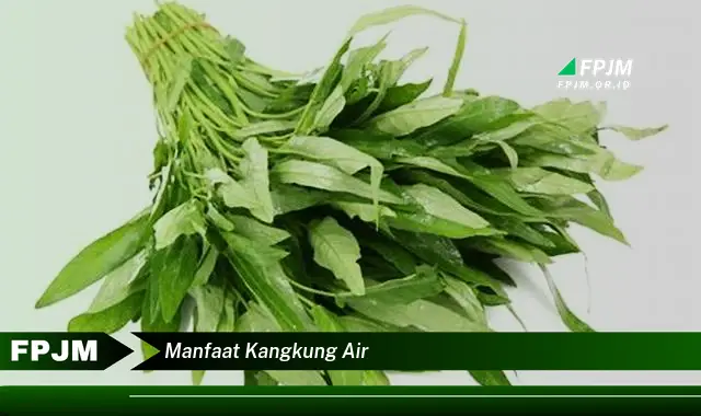 manfaat kangkung air