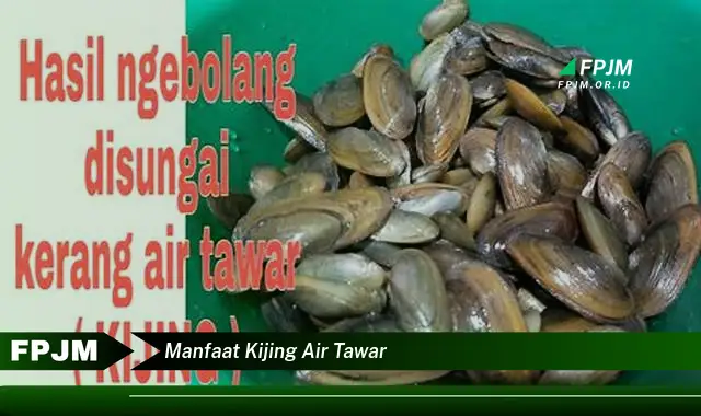 manfaat kijing air tawar