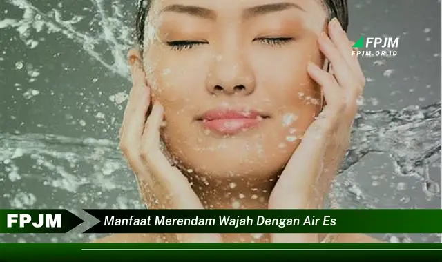 manfaat merendam wajah dengan air es manfaat merendam wajah dengan air es