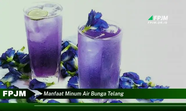 manfaat minum air bunga telang manfaat minum air bunga telang