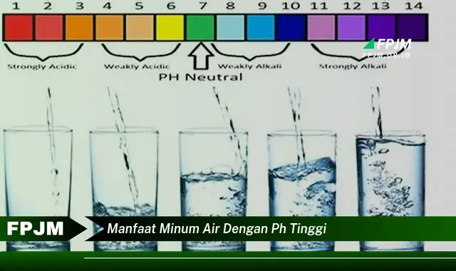 manfaat minum air dengan ph tinggi