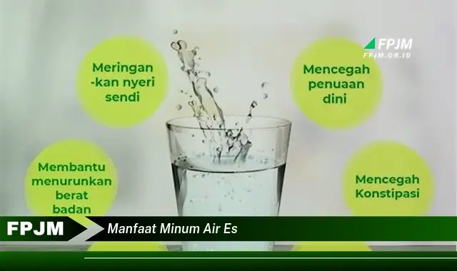 manfaat minum air es