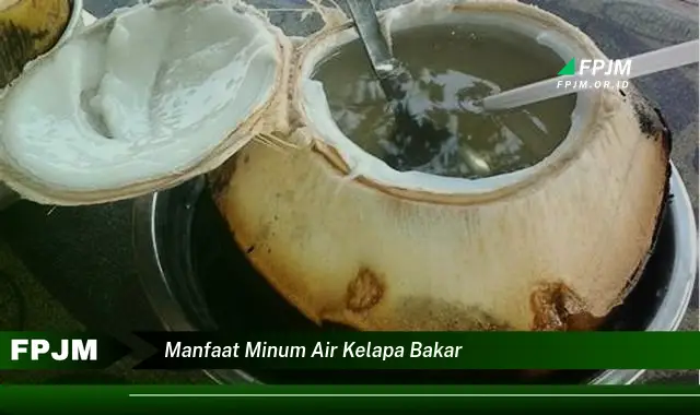 manfaat minum air kelapa bakar