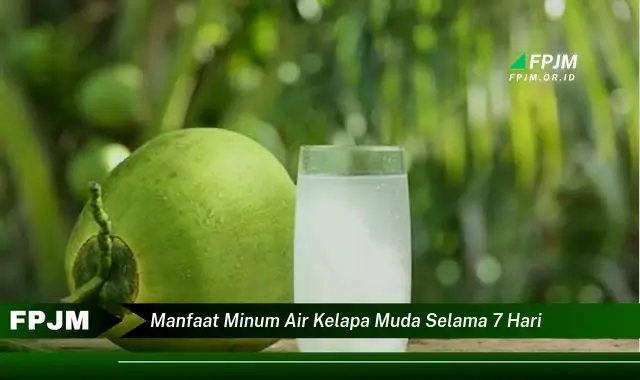manfaat minum air kelapa muda selama 7 hari