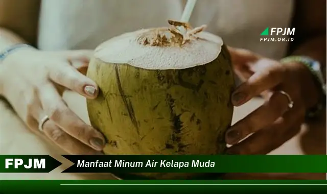 manfaat minum air kelapa muda