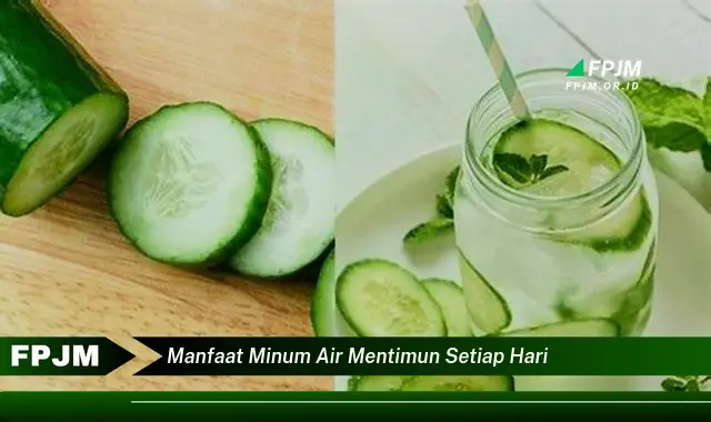 manfaat minum air mentimun setiap hari manfaat minum air mentimun setiap hari