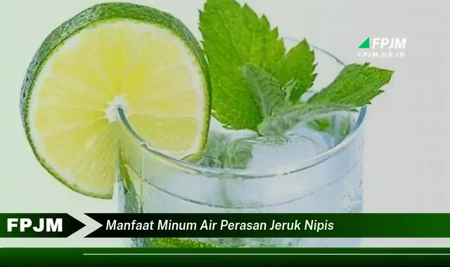 manfaat minum air perasan jeruk nipis