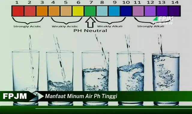manfaat minum air ph tinggi