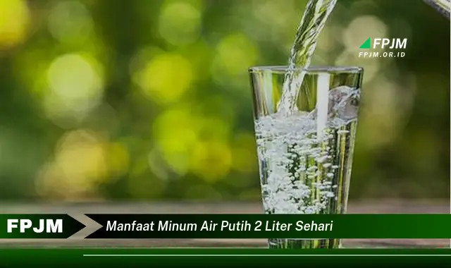 manfaat minum air putih 2 liter sehari