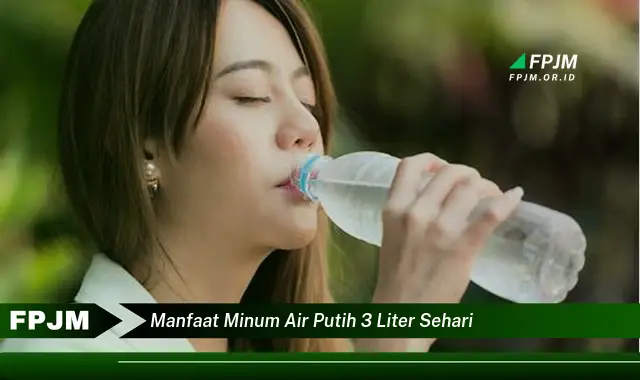 manfaat minum air putih 3 liter sehari