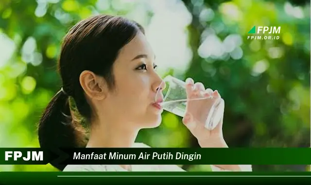 manfaat minum air putih dingin