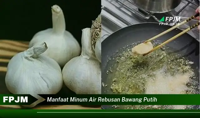 manfaat minum air rebusan bawang putih manfaat minum air rebusan bawang putih
